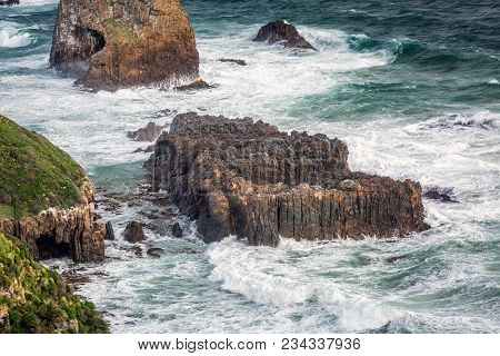 New Zealand Coast