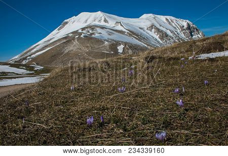 Photo Of Vettore Mountain With Snow In The Spring Season