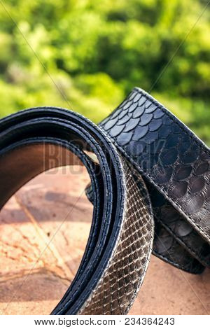 Fashion Luxury Snakeskin Leather Belts Outdoors. Python Belts On A Tropical Background. Indonesia, B