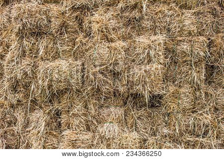 A Wall Of Stacked Hay Bales On A Farm In Ecuador.