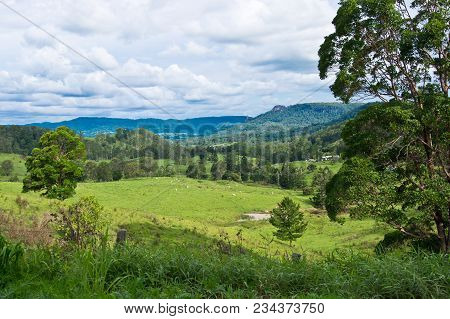 Landscape In Australian Hinterland In The Summer