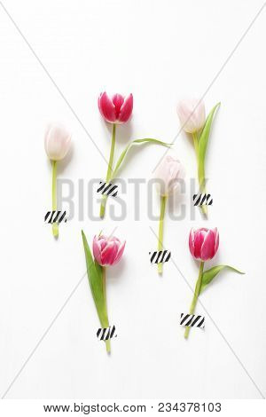 Styled Stock Photo. Feminine Easter, Spring Composition With Pink Tulips Taped On White Background. 