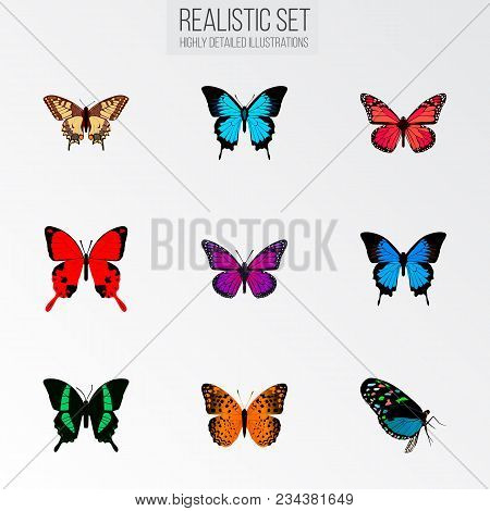 Set Of Butterfly Realistic Symbols With Pink-wing, Sky Animal, Checkerspot And Other Icons For Your 