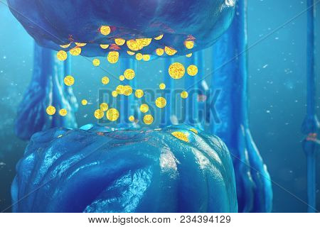 Synaptic Transmission, Human Nervous System. Brain Synapses. Transmission Synapse, Signals, Impulses