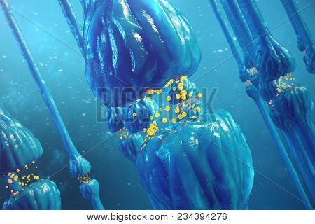 Synaptic Transmission, Human Nervous System. Brain Synapses. Transmission Synapse, Signals, Impulses