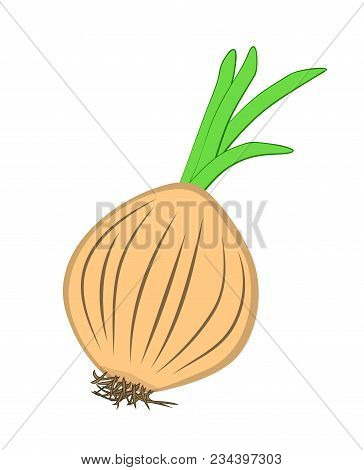 Vector Illustration, Flat Cartoon Unpeeled Raw Bulb Of Onion Isolated On White Background