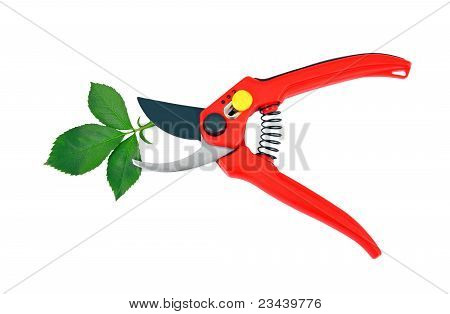 Garten Astschere und grünes Blatt