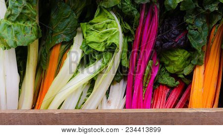Different Color Rebarbaras In A Wood Box