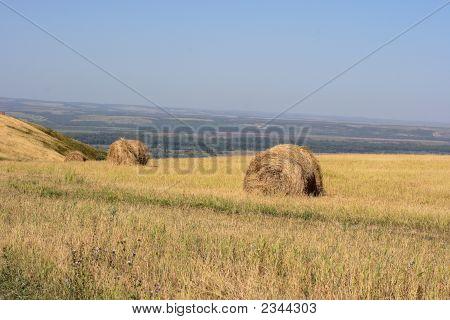 Stack-Hays