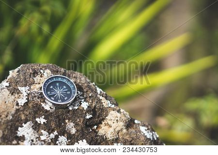 Navigation Concept - Analogical Compass Laying On The Rocky Stone. Blurred Agave Plant Leaves In Bac