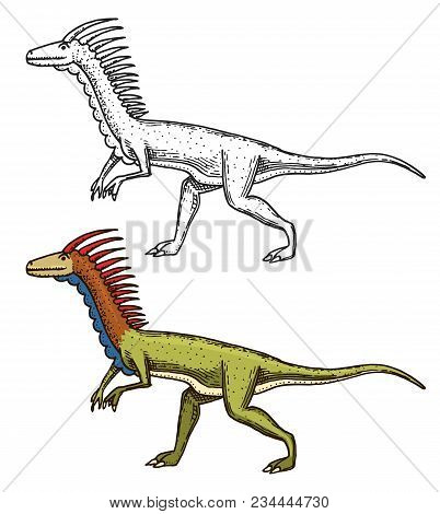 Dinosaurs Deinonychus, Skeletons, Fossils. Prehistoric Reptiles, Animal Engraved Hand Drawn Vector