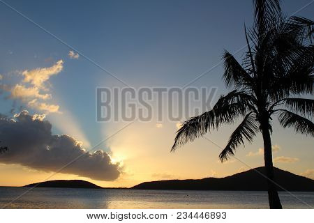Sunset On A Puerto Rico Beach With Palm Trees