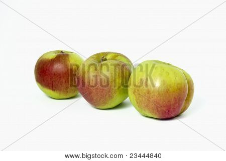 Tre Bramleys