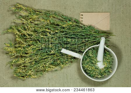 Melilot. Dry Herbs For Use In Alternative Medicine, Phytotherapy, Spa, Herbal Cosmetics. Preparing I