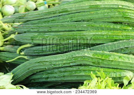 Fresh Luffa Acutangula For Cooking In Market