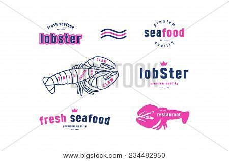 Stock Vector Lobster Cuts Diagram And Label For Seafood Shop. Color Print On White Background