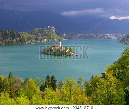 Scenic View Of Lake Bled From Little Osojnica Hill At Spring Day With Light Green Trees On Foregroun