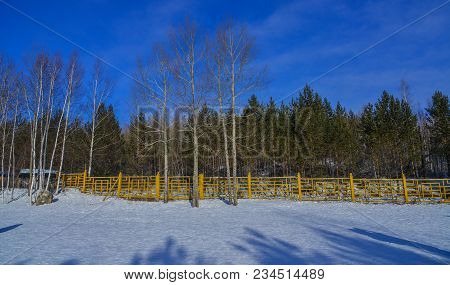 Winter Scenery Of Heilongjiang, China