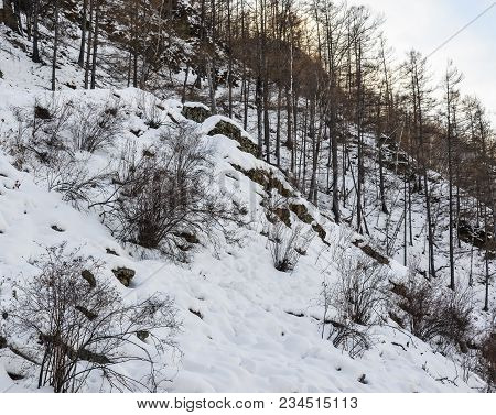 Winter Scenery Of Heilongjiang, China