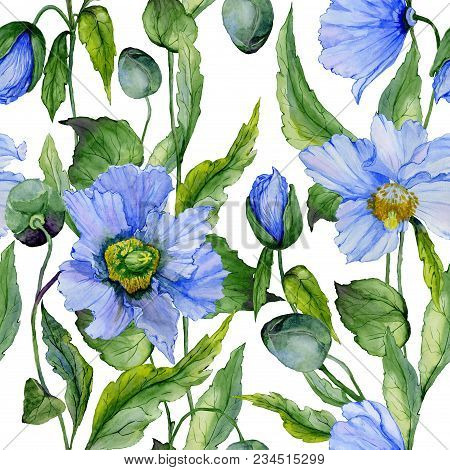 Beautiful Blue Poppy Flowers With Green Leaves On White Background. Seamless Floral Pattern. Waterco