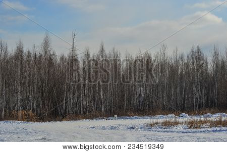 Winter Scenery Of Heilongjiang, China
