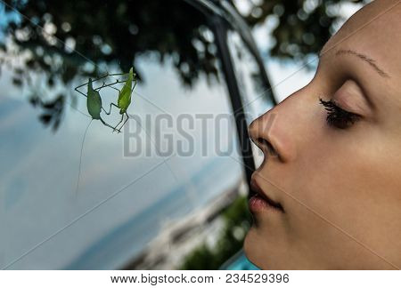 A Young Woman Looks At A Green Grosshopper Sitting On The Side Window Of A Car. The Insect With Long