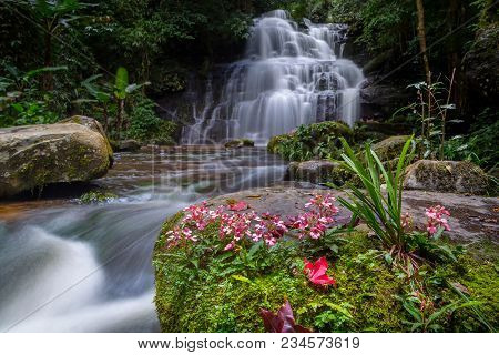 Mun Dang Waterfall With A Pink Flower Foreground In Rain Forest At Phitsanulok Province, Thailand