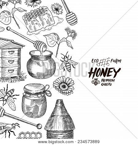 Vector Banner And Poster Background With Sketched Contoured Honey Theme Elements With Place For Text