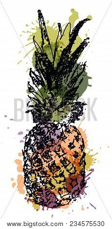 Vector Single Sketch Pineapple Isolated On Handwritten Background With Healthy Food Words And Colore