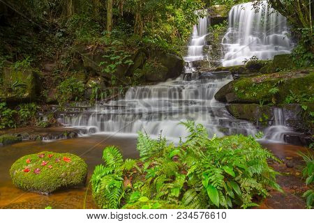 Mun Dang Waterfall With A Pink Flower Foreground In Rain Forest At Phitsanulok Province, Thailand