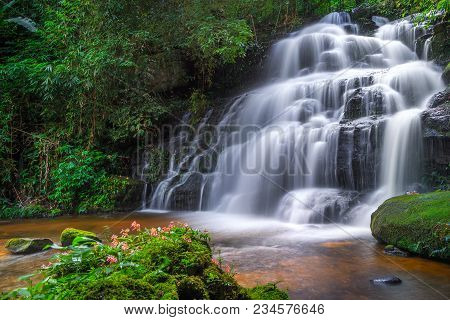 Mun Dang Waterfall With A Pink Flower Foreground In Rain Forest At Phitsanulok Province, Thailand