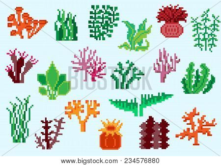 Set Of Pixel Algae For Games And Mobile Applications