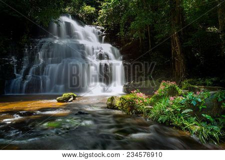 Mun Dang Waterfall With A Pink Flower Foreground In Rain Forest At Phitsanulok Province, Thailand