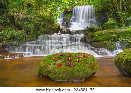 Mun Dang Waterfall With A Pink Flower Foreground In Rain Forest At Phitsanulok Province, Thailand