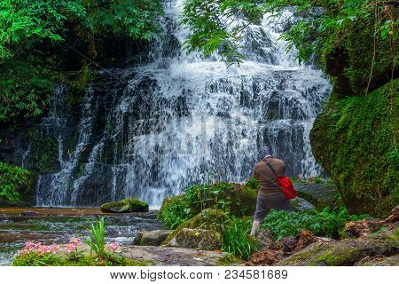 Mun Dang Waterfall With A Pink Flower Foreground In Rain Forest At Phitsanulok Province, Thailand