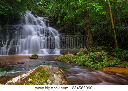 Mun Dang Waterfall With A Pink Flower Foreground In Rain Forest At Phitsanulok Province, Thailand