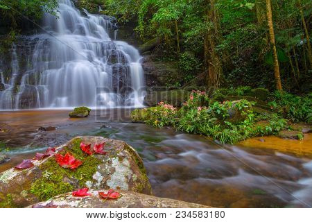 Mun Dang Waterfall With A Pink Flower Foreground In Rain Forest At Phitsanulok Province, Thailand