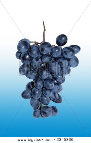 Un grappolo d'uva