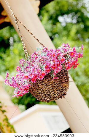 Pink Flower Basket Hanging On The Garden.