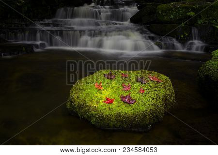 Mun Dang Waterfall With A Pink Flower Foreground In Rain Forest At Phitsanulok Province, Thailand