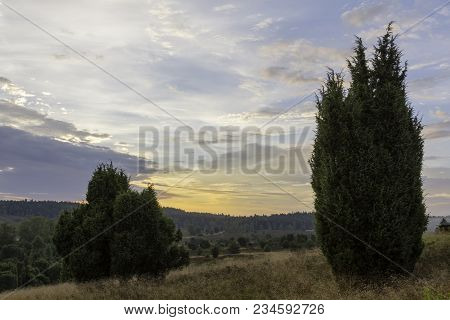 Before Sunrise In The Lüneburg Heath Nature Park (nature Reserve), Northern Germany