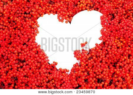 Mountain Ash bessen met witte hart-vormige copyspace
