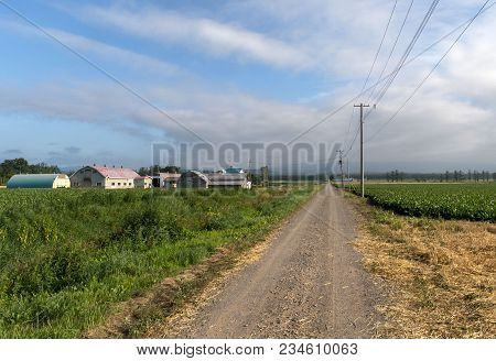Dirt Road Through Rural Hokkaido In Late Summer