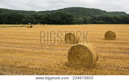 Hay Bales Sit After Harvest In A Rural Hokkaido Field