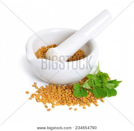 Fenugreek Seed With Pharmaceutical Mortar. (trigonella Foenum-graecum)