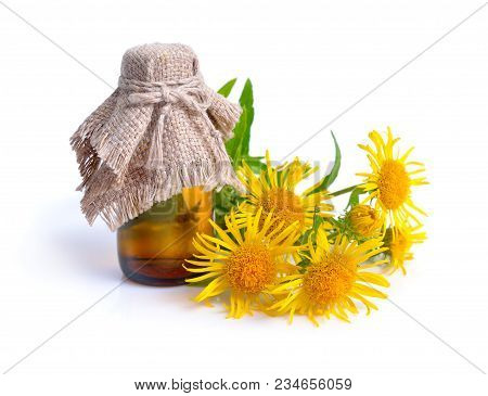 Inula With Pharmaceutical Botlle Isolated On White Background.