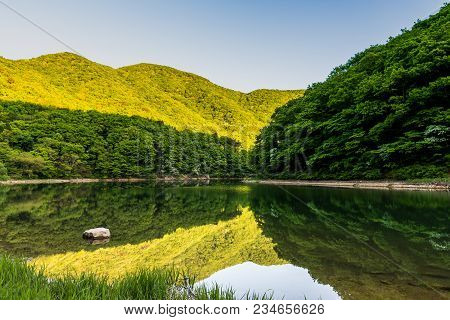 Forest Lake With Mointains Reflection In The Water