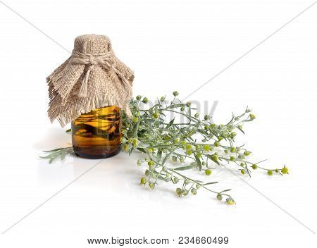 Artemisia With Pharmaceutical Bottle. Isolated On White.