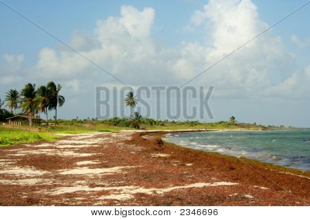 Plage de Bahia Honda