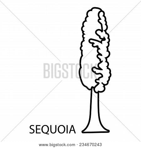 Sequoia Icon. Outline Illustration Of Sequoia Vector Icon For Web